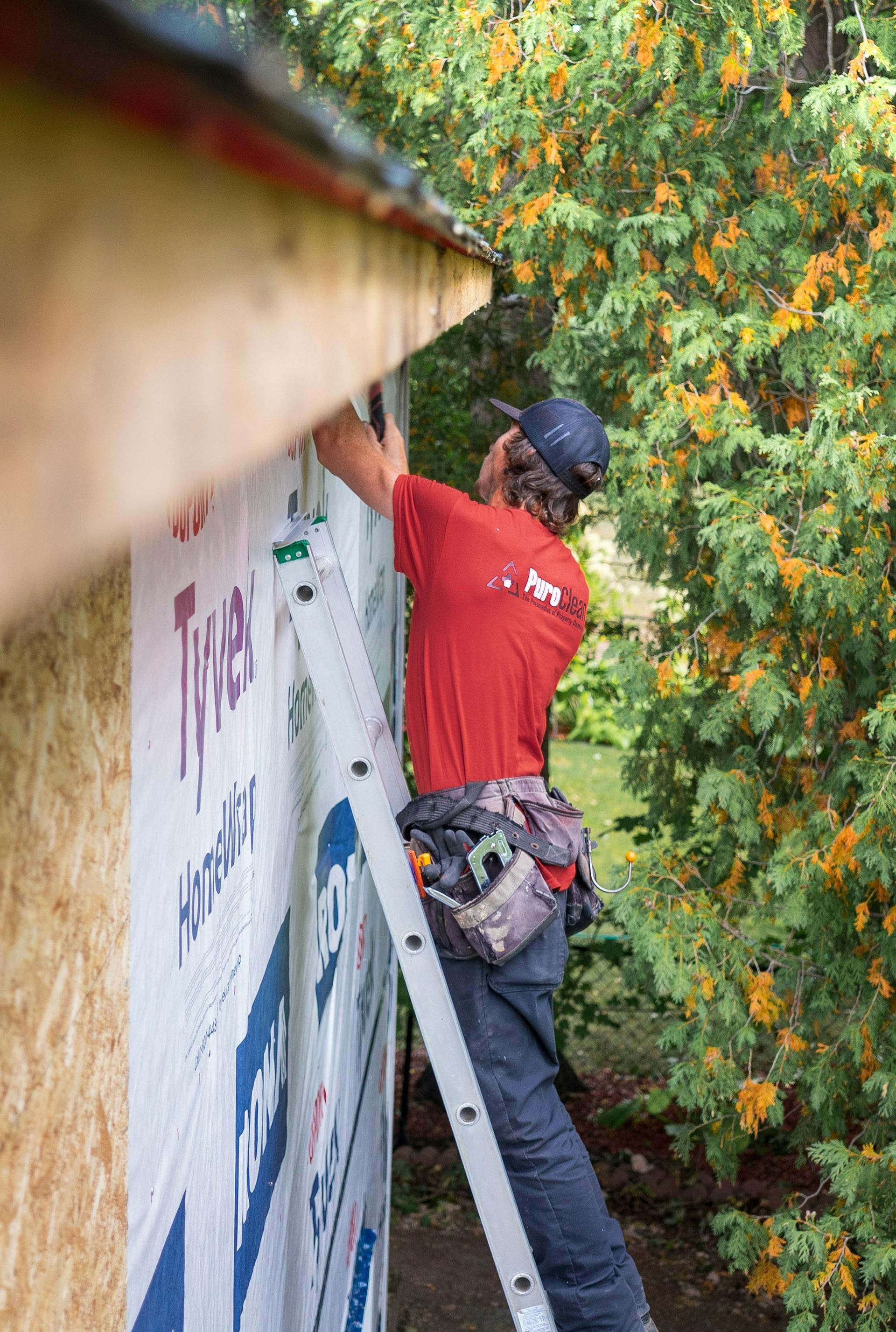 Man on ladder installing siding on a building exterior, with trees in the background.