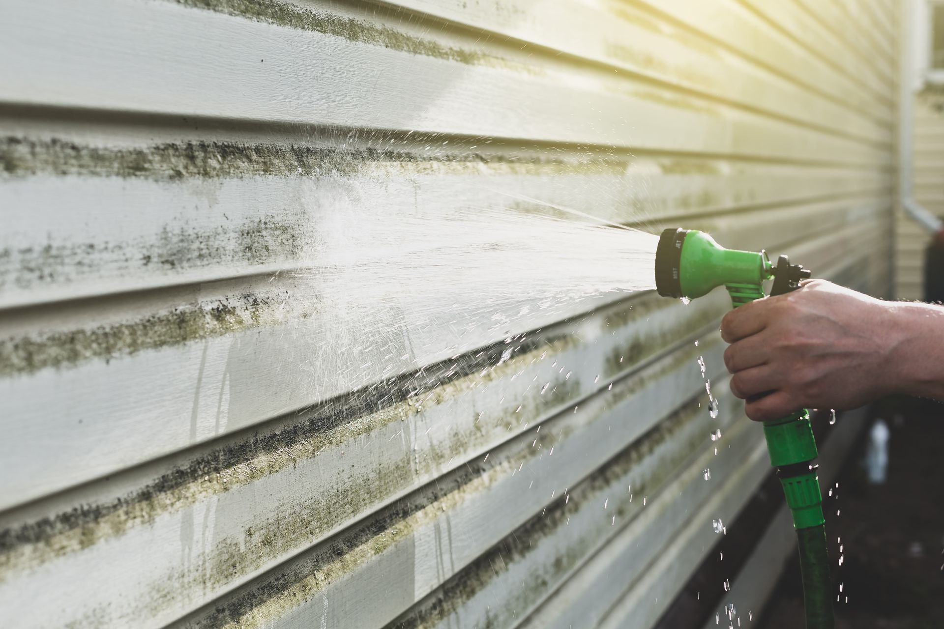 Person spraying water on moldy siding with a green hose nozzle, outdoors.