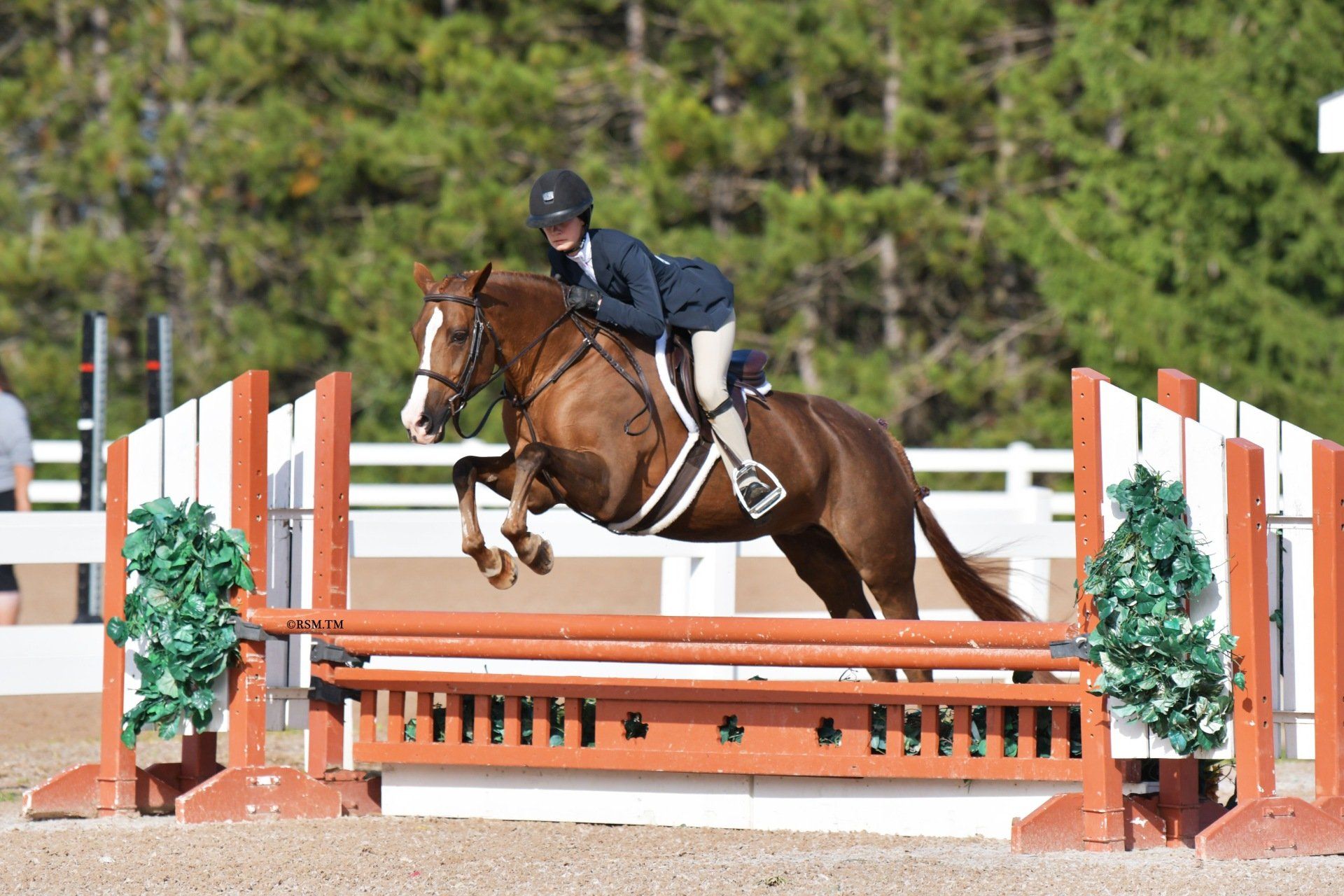 girl on jumping horse