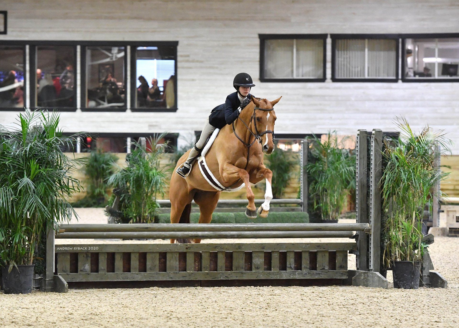 horse jumping over hurdle with horserider