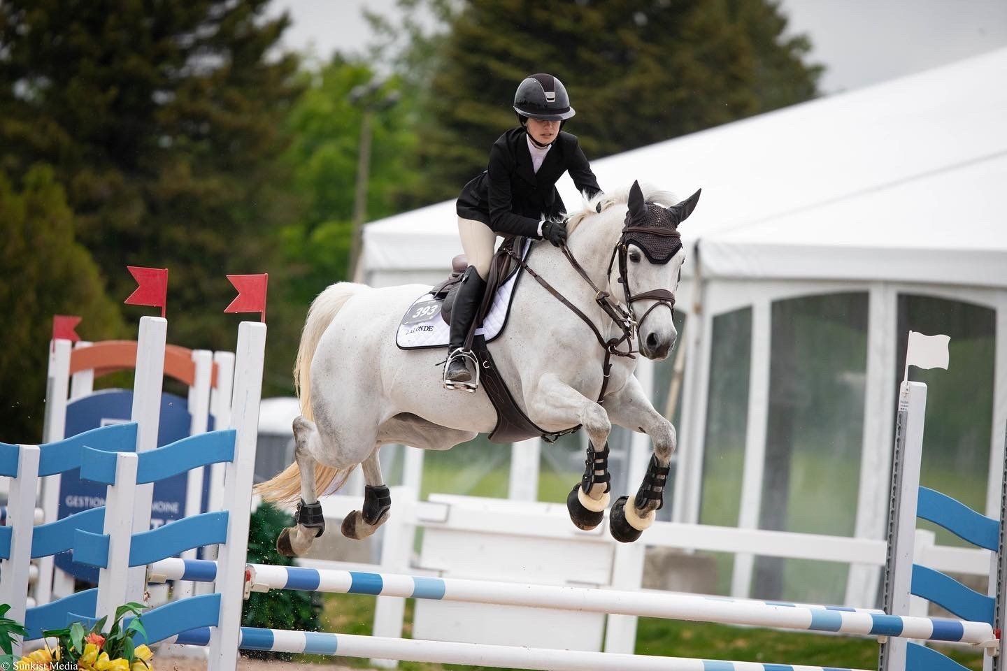 girl with horse holding ribbon