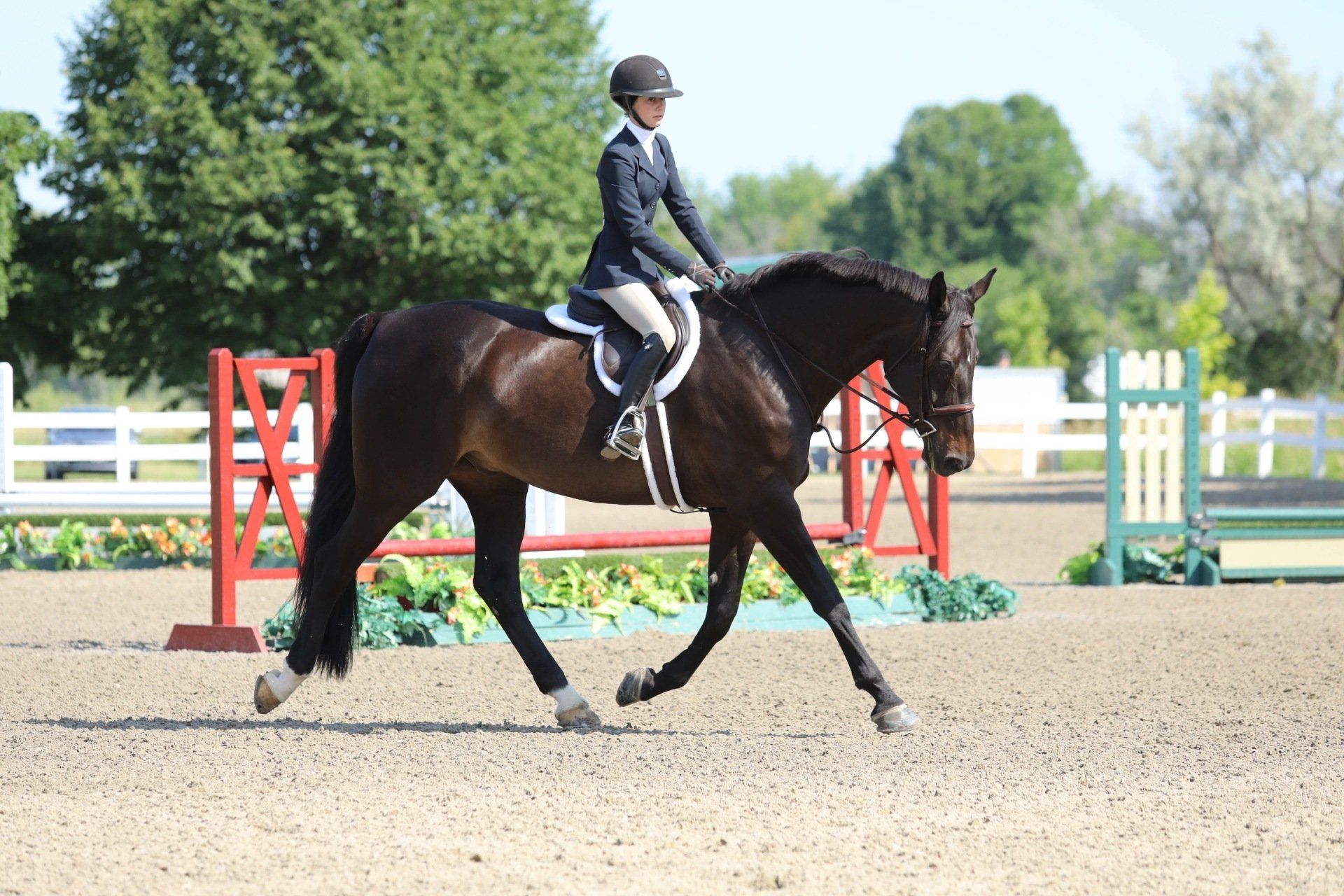 girl on jumping horse