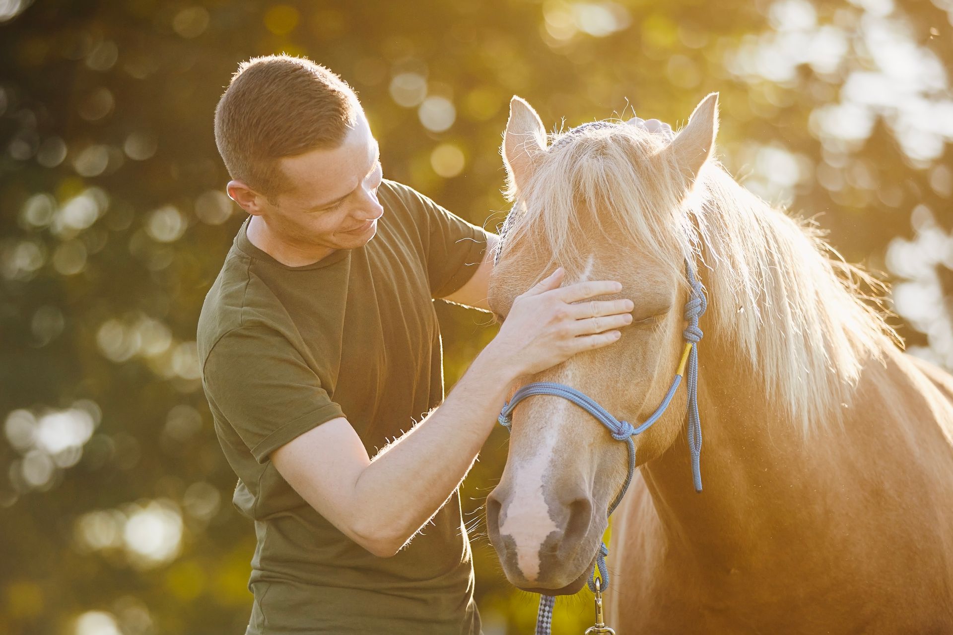 A man is petting a brown horse in a field.