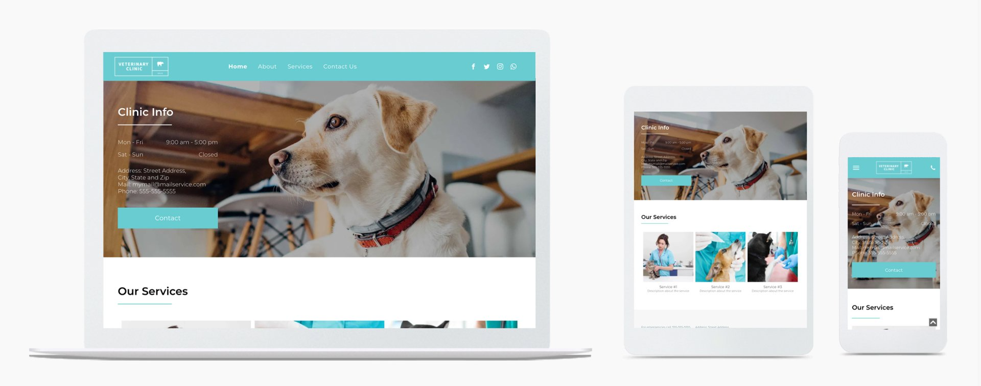 Website Design for Veterinary Clinics