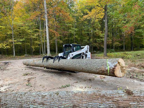 Vehicle Holding The Trunk Of The Tree — Scottdale, PA — Stockton Tree Service
