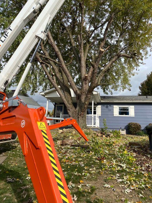 A House And Tree With Tree Removal — Scottdale, PA — Stockton Tree Service