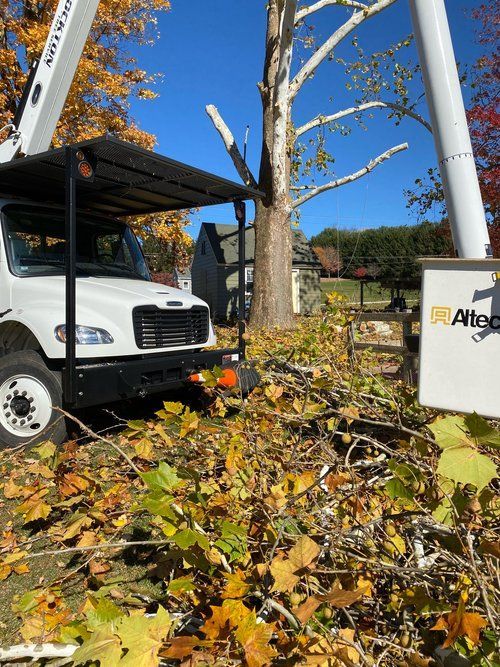 A Photo Consist Of Vehicle — Scottdale, PA — Stockton Tree Service