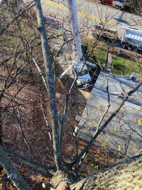 Aerial View Of The House — Scottdale, PA — Stockton Tree Service