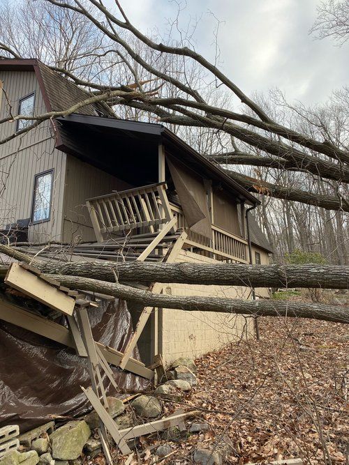 Wrecked House By The Trees — Scottdale, PA — Stockton Tree Service