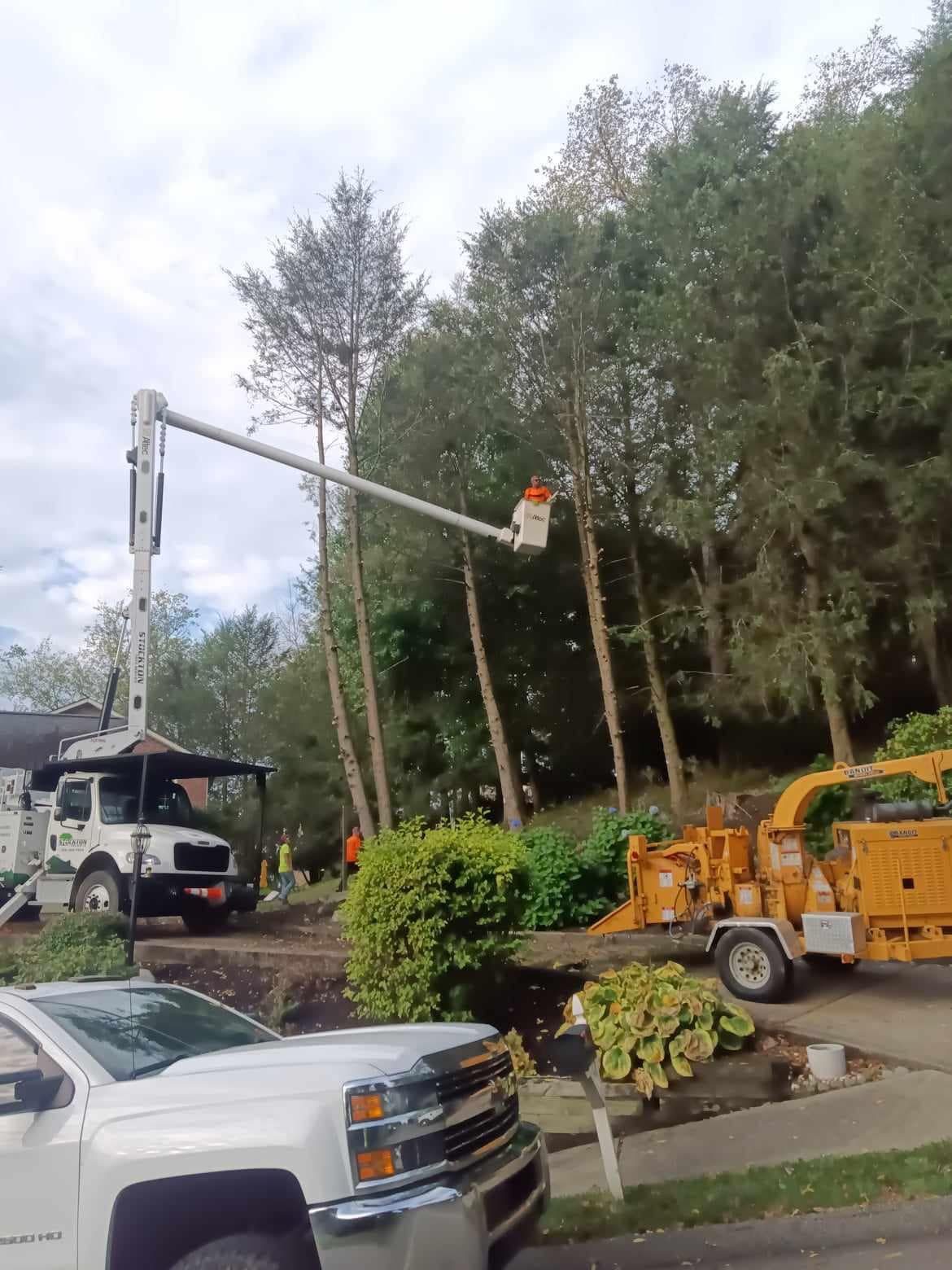 Tree Surgeon Using Chainsaw — Scottdale, PA — Stockton Tree Service