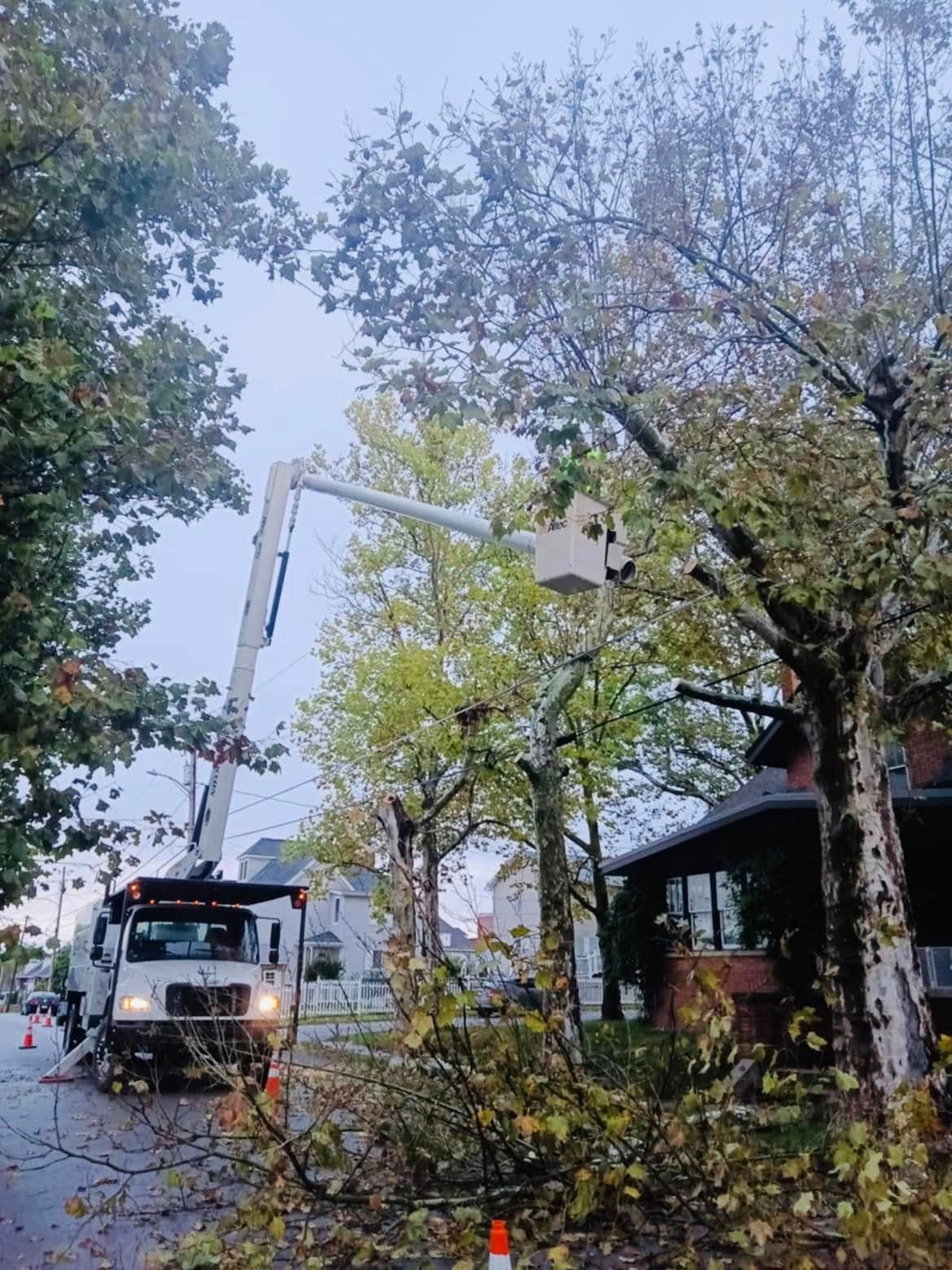Gardener With Scissors In His Hand And Cutting Trees — Scottdale, PA — Stockton Tree Service