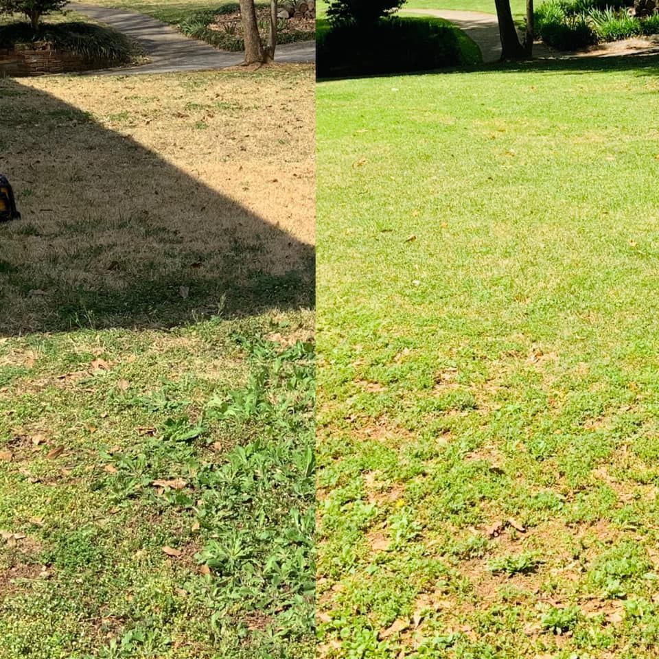 There is a before and after picture of a lawn.