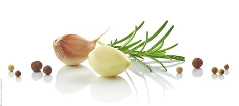 Tepe Gasthaus - Home - Knoblauch