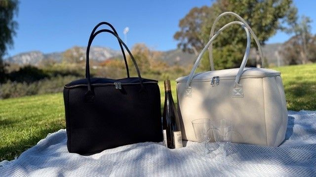 The Stever Co insulated tote bags styled for outdoor park picnic