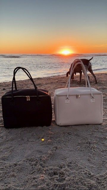 The Stever Co insulated tote bags with dog at beach sunset