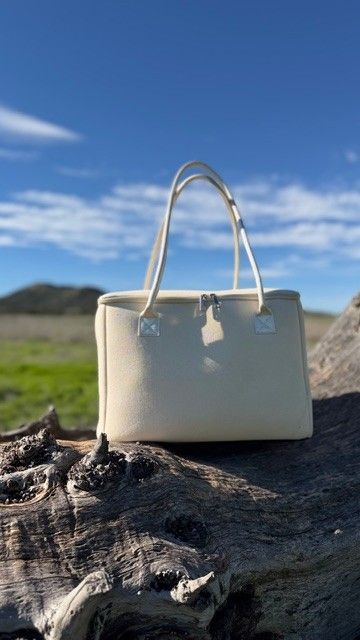 Salt & Stone insulated tote bag by The Stever Co against bright blue sky