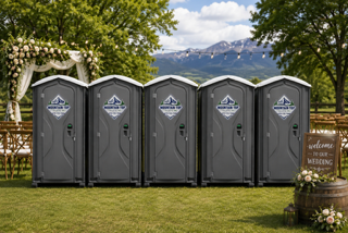 Row of teal-and-purple portable toilets in a park, with a small handwashing station at the right