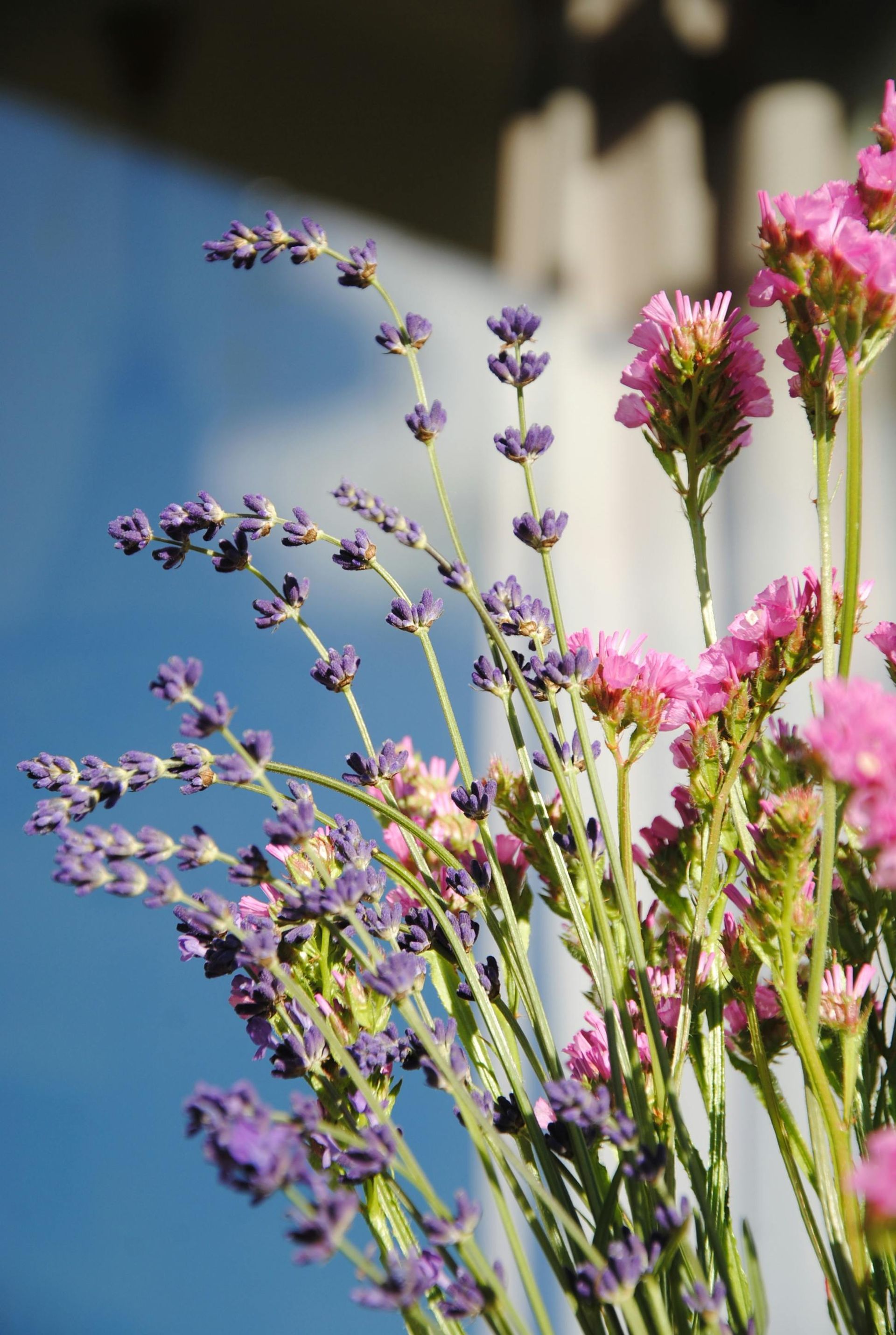 Mother-Daughter Night
