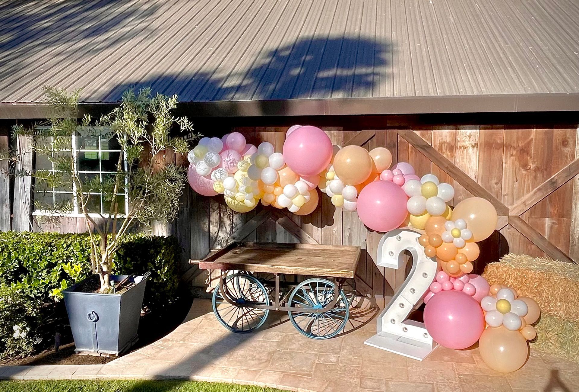 Outdoor birthday setup with a balloon arch, cart, and lighted number 