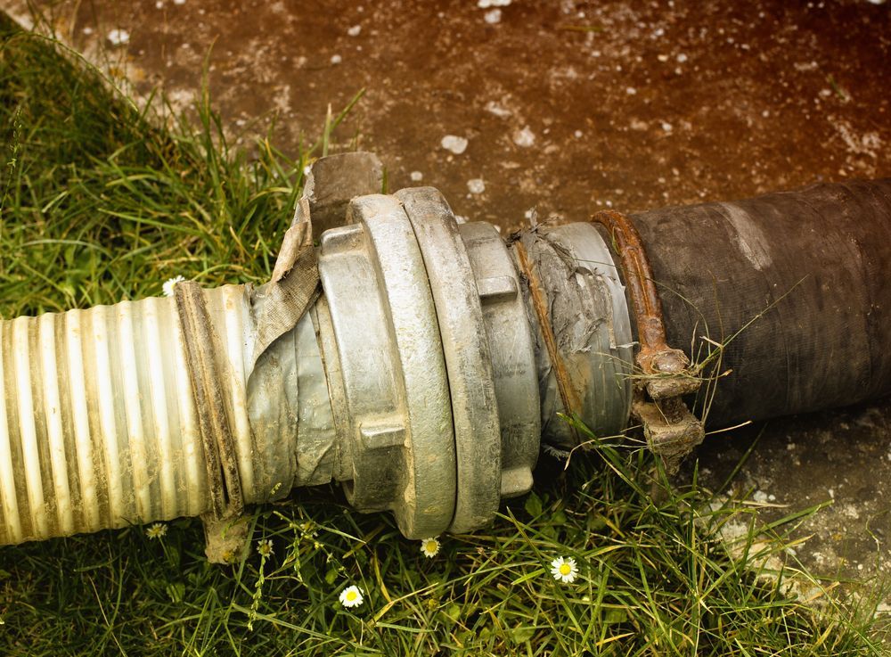 Two hoses connected with metal clamps and a fitting, lying in green grass.
