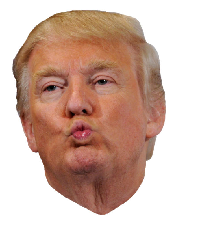 Donald Trump pouts