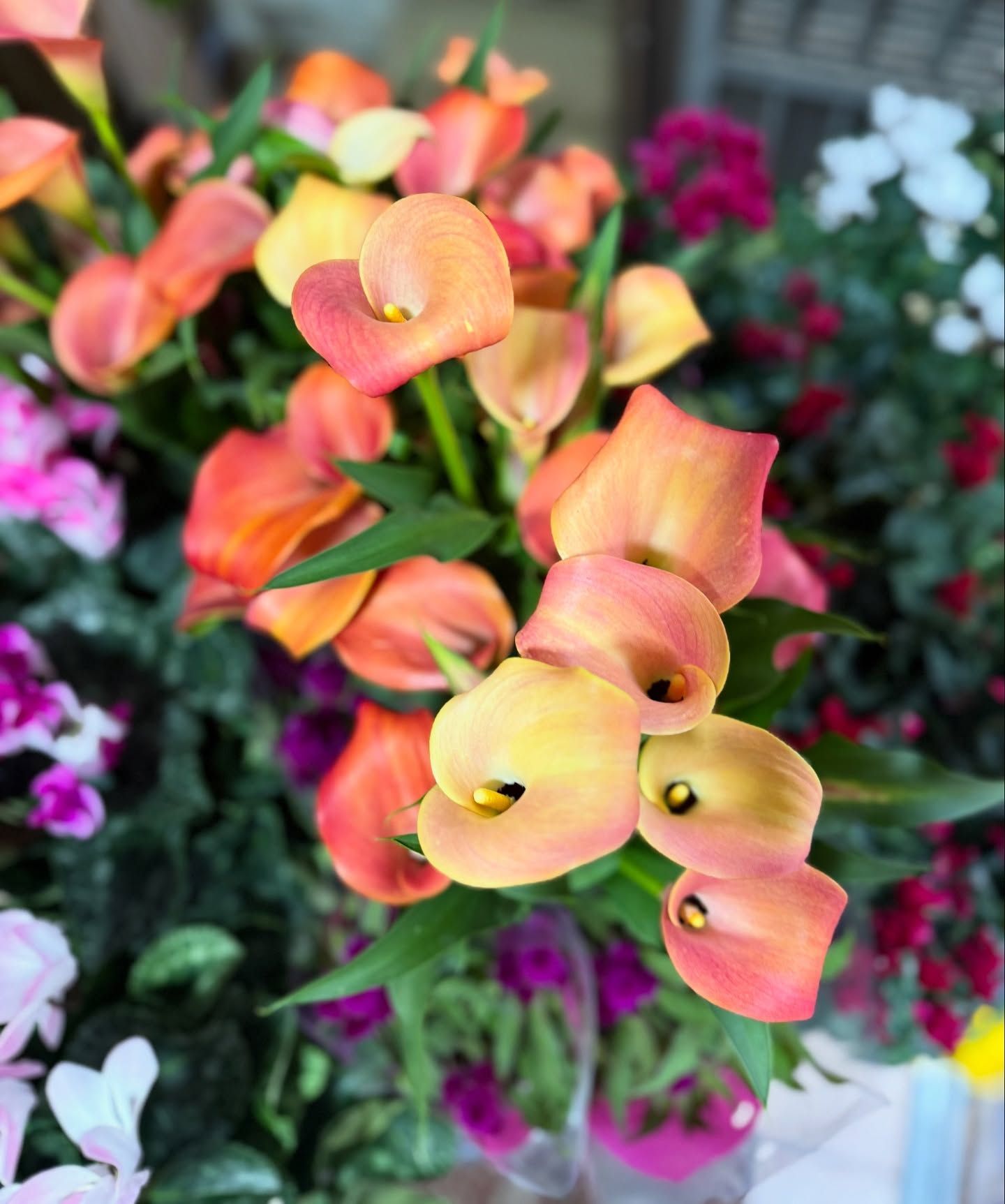 Calle arancioni e gialle con steli verdi, circondate da altri fiori.