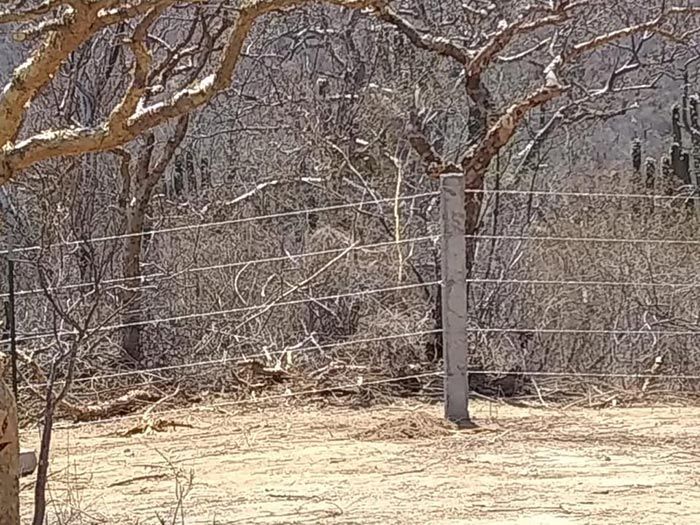 CERCOS Y PÚAS PANTOJA