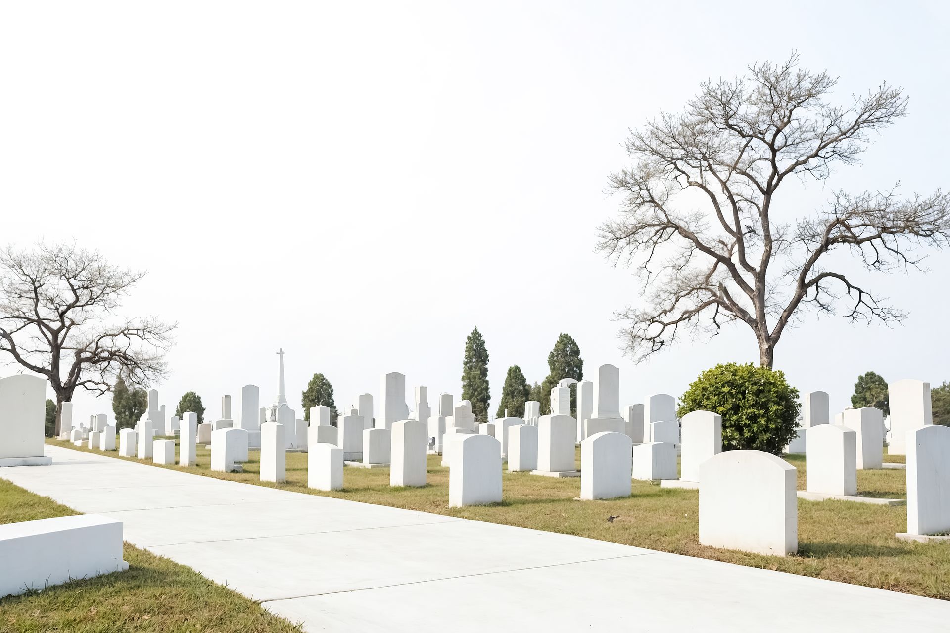 cremation services winter haven fl
