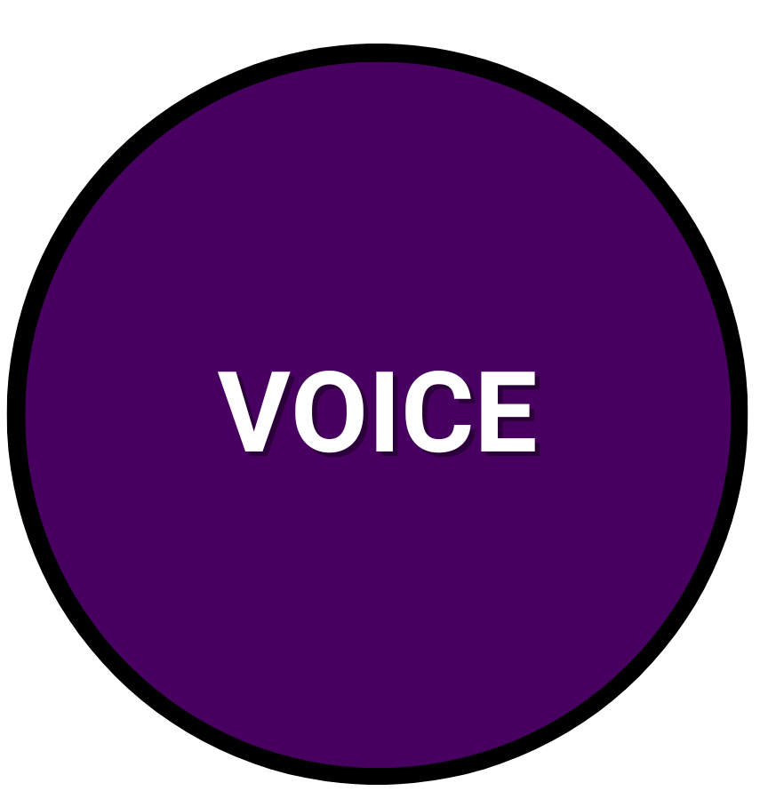 A purple circle with the words voice on it
