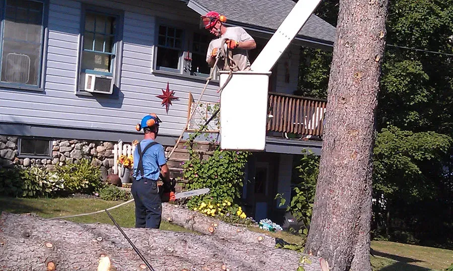 Crane Work