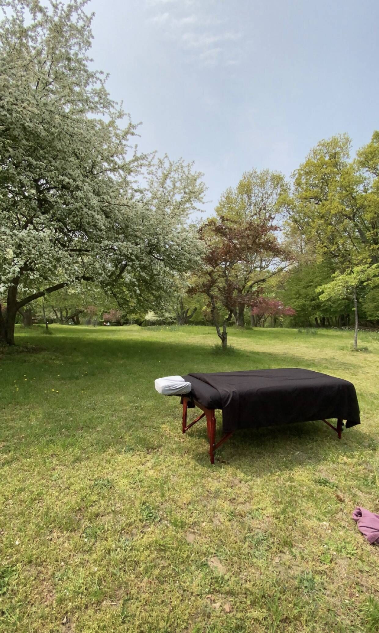 A massage table is sitting in the middle of a grassy field.