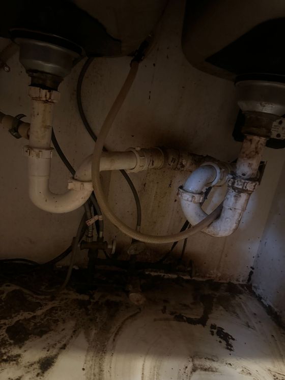 Under-sink plumbing with pipes, drain traps, and visible water damage or mold staining