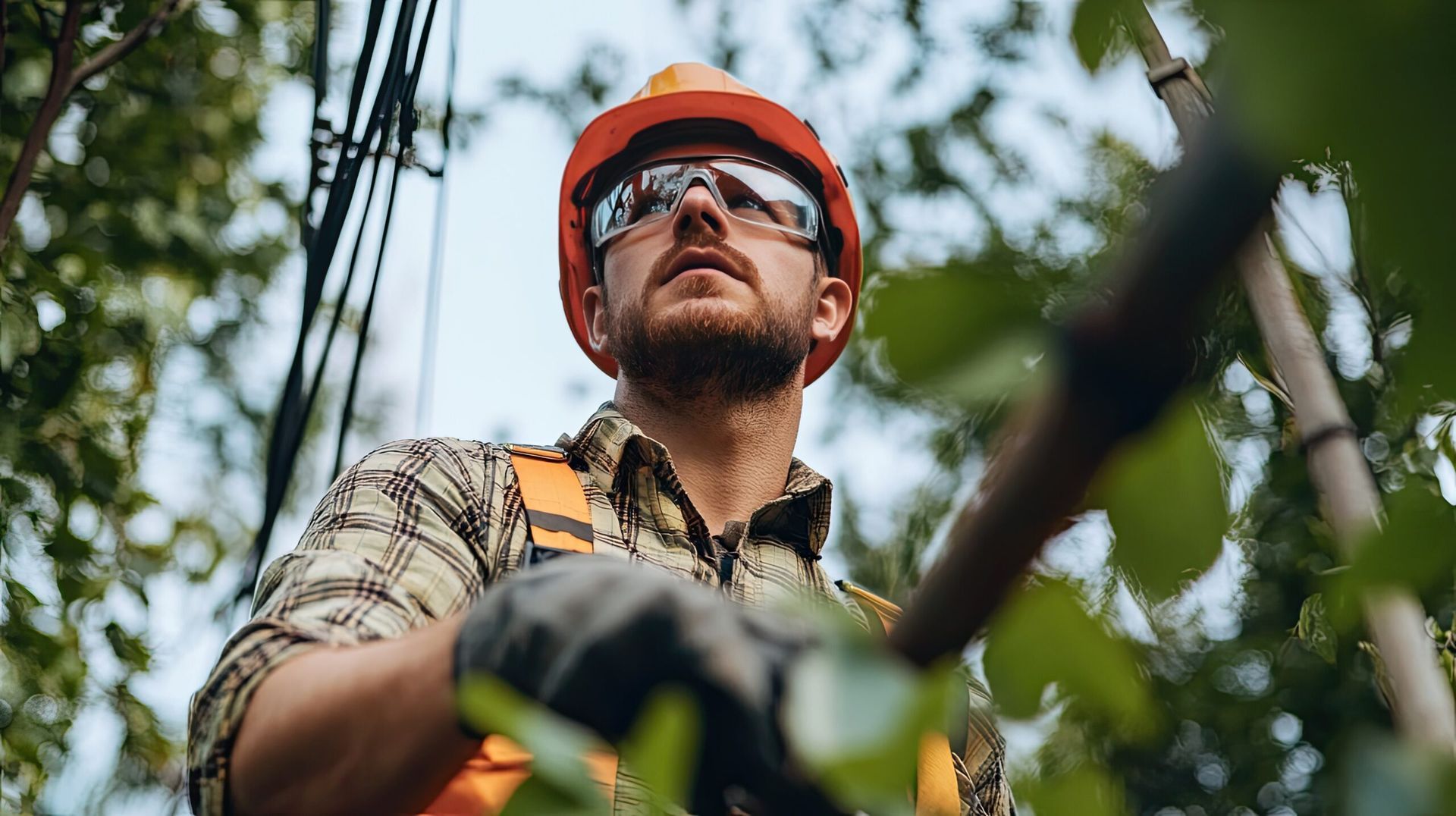 A person in a hard hat and safety glasses, working outdoors, focused, reaching towards a tree branch.