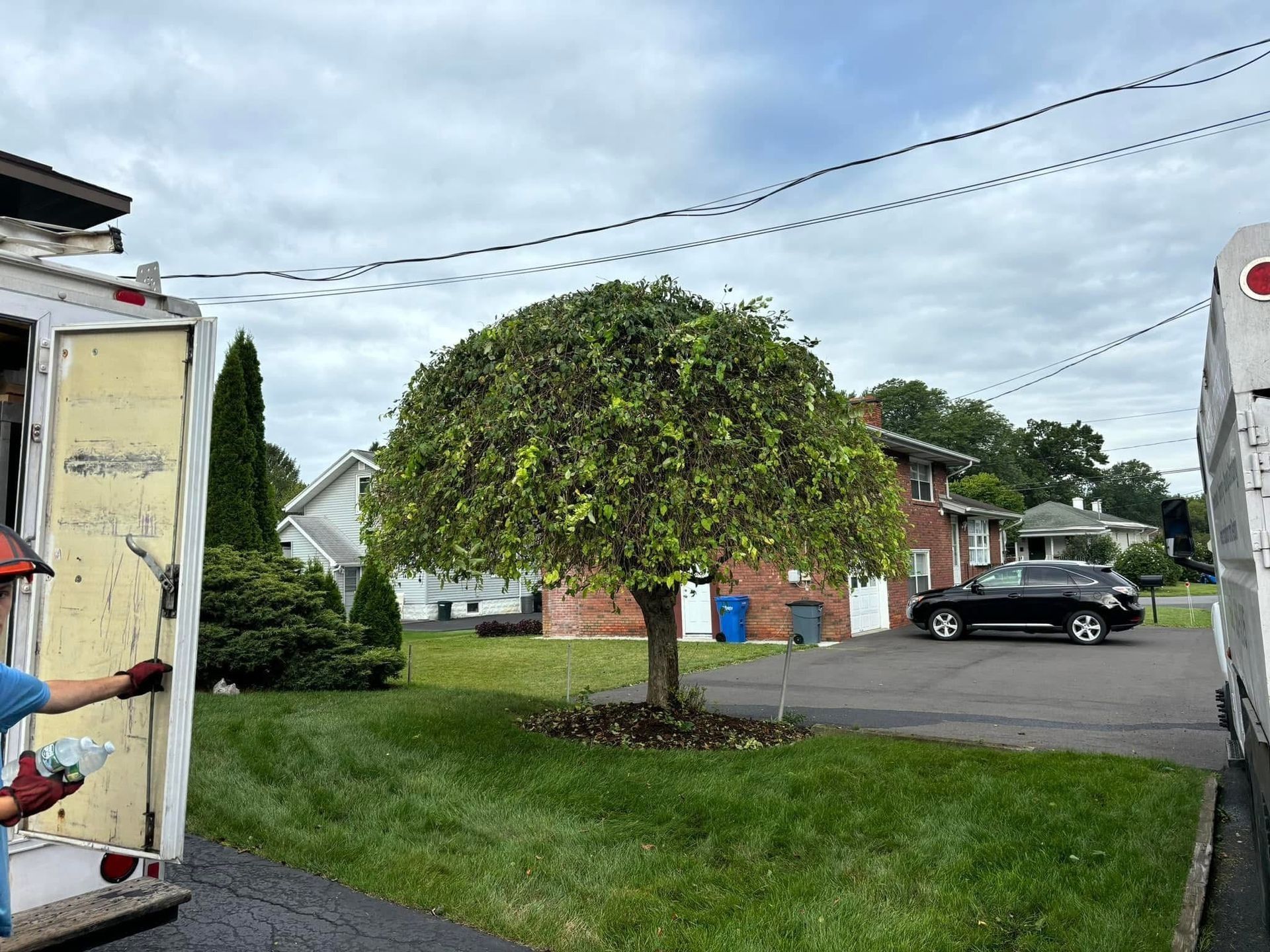A garbage truck next to a lush green lawn and tree with a house from Allen's Tree and Fence