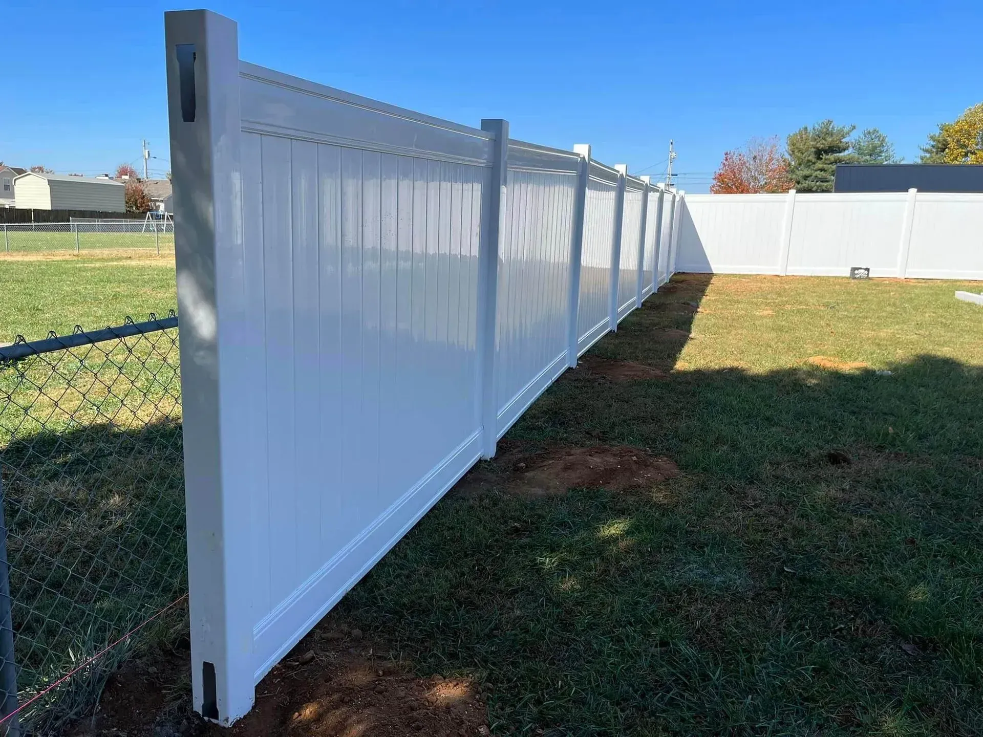 White vinyl privacy fence in a grassy yard under a blue sky by Allen's Tree and Fence
