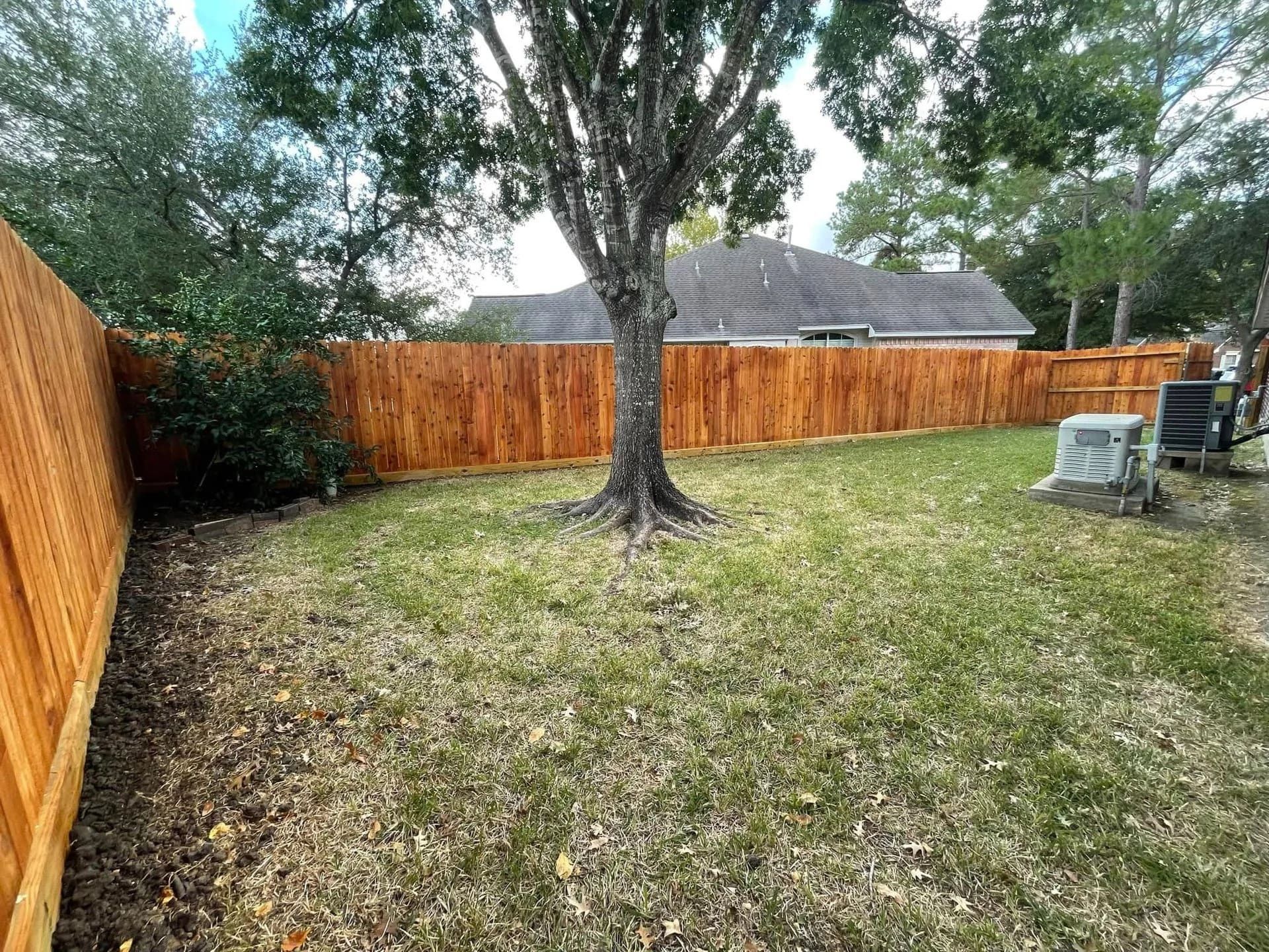 Wooden fence surrounds a backyard with a tree. Green grass by Allen's Tree and Fence.