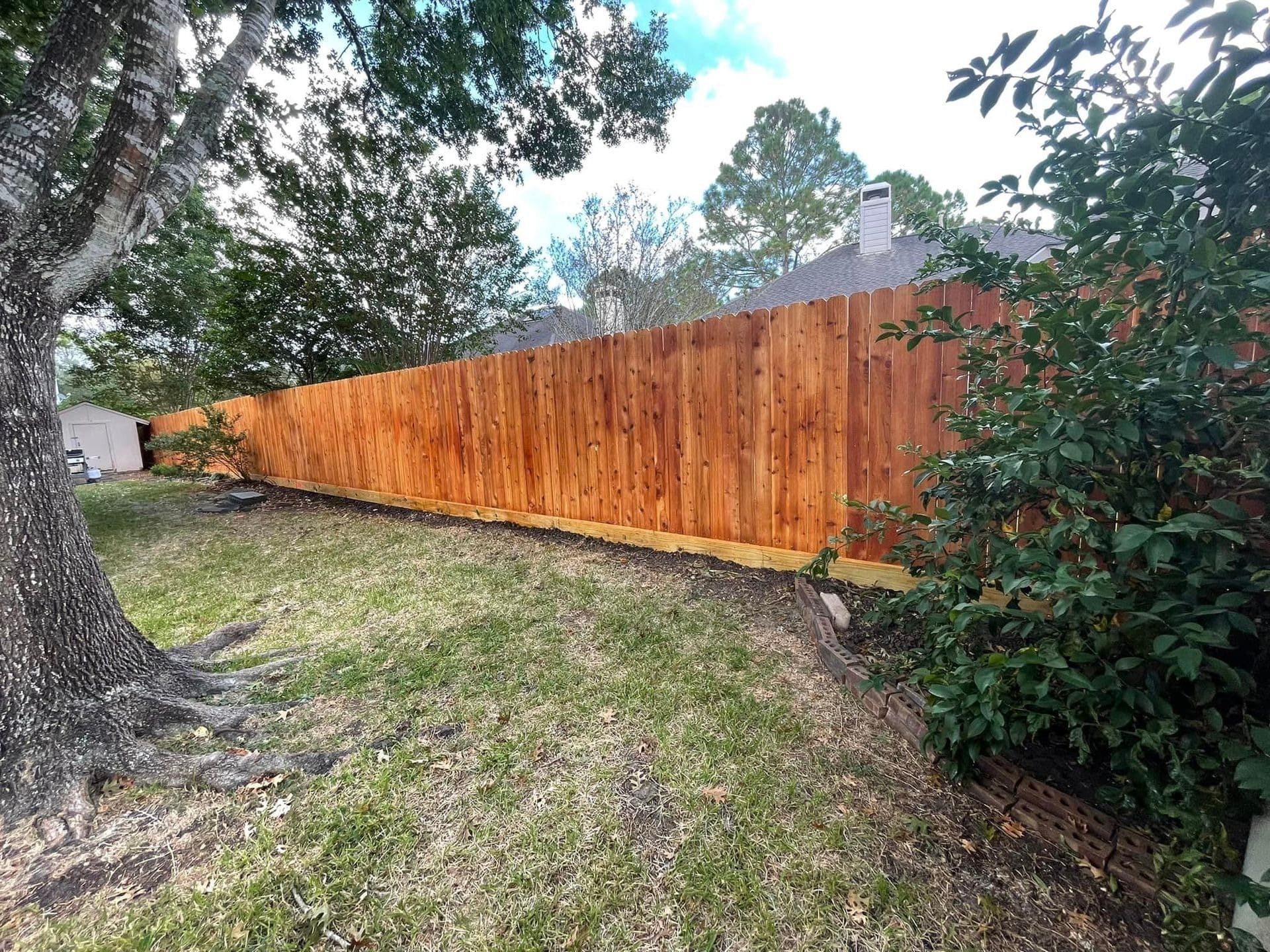 Wooden fence in a backyard, beside a tree and green grass by Allen's Tree and Fence.