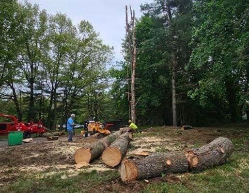 Tree-felling scene: Several logs on the ground, two workers operating equipment, by Allen's Tree and Fence.
