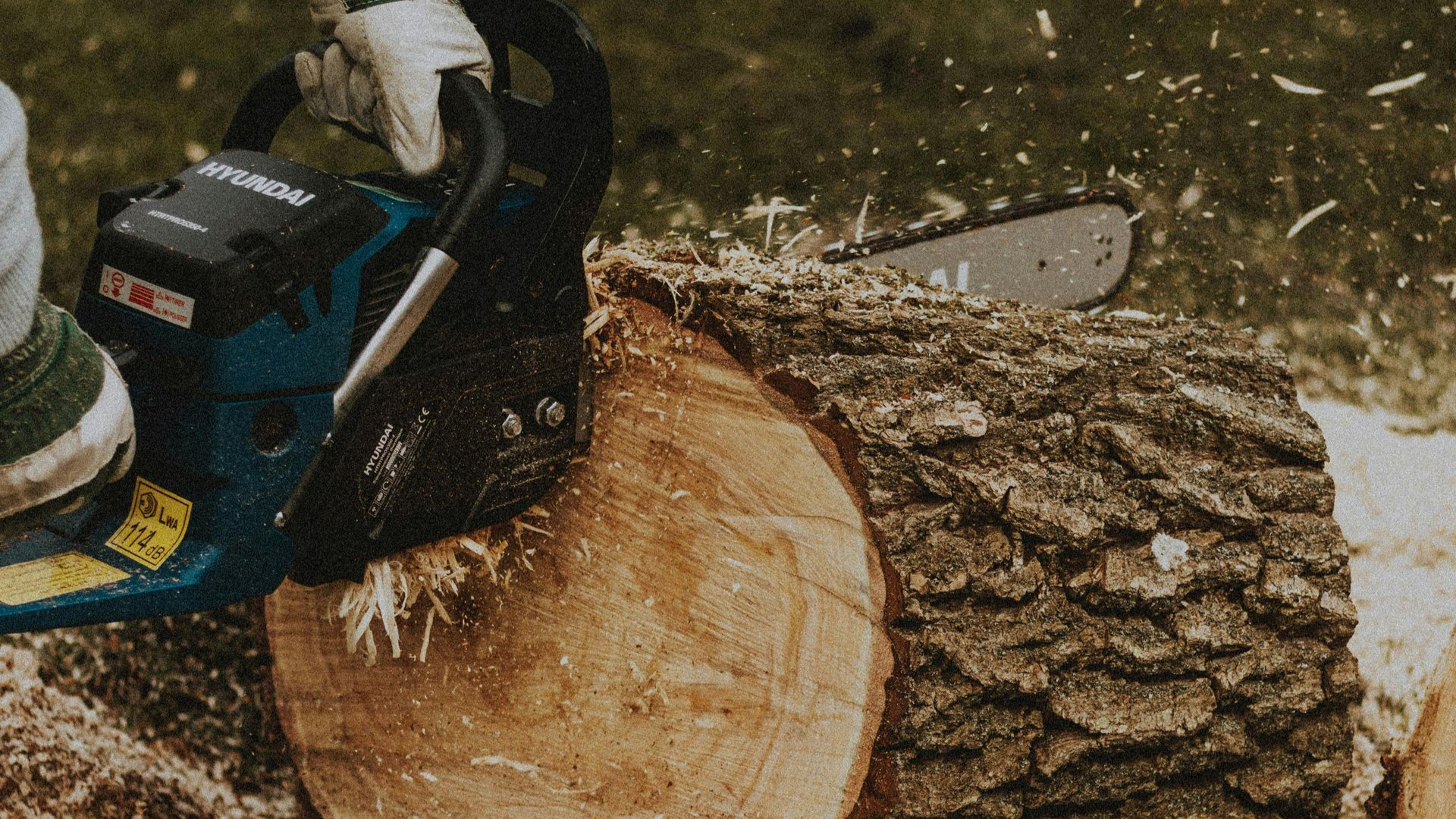 A person in gloves cuts a log with a blue and black chainsaw, creating wood chips.
