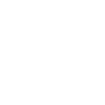 Handshake icon, representing partnership or service.
