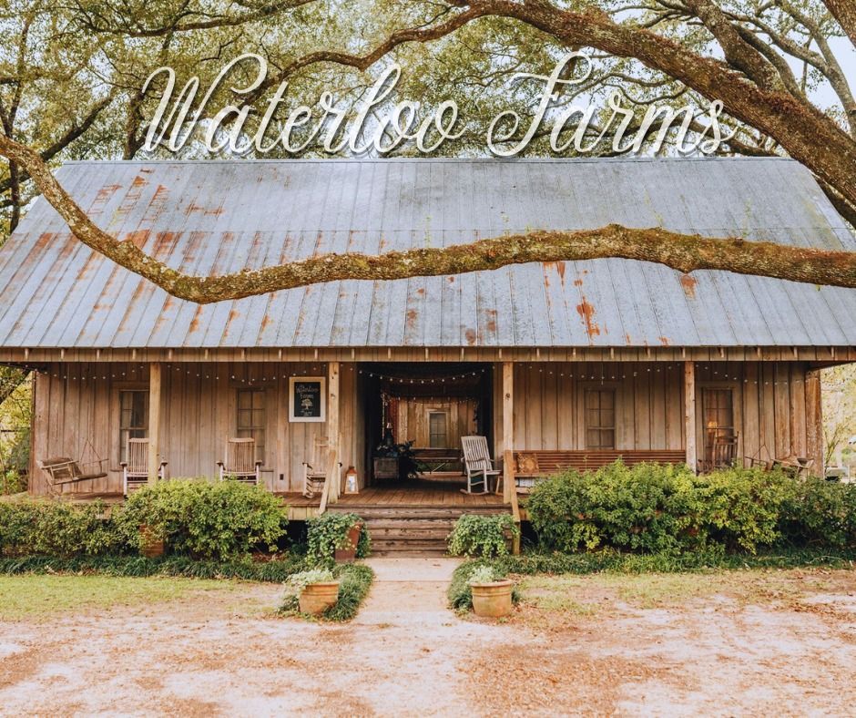 white rose at waterloo farms exterior