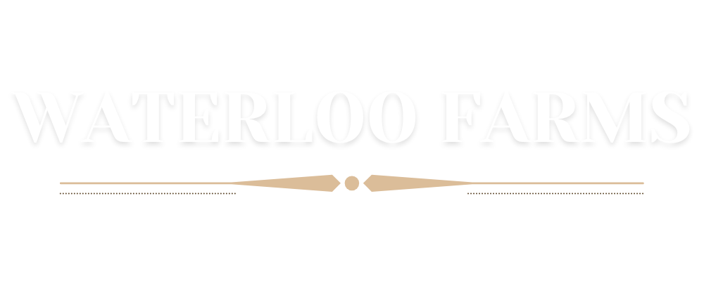 the white rose at waterloo farms logo