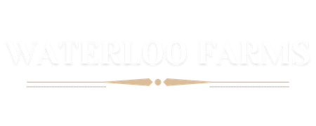 the white rose at waterloo farms logo