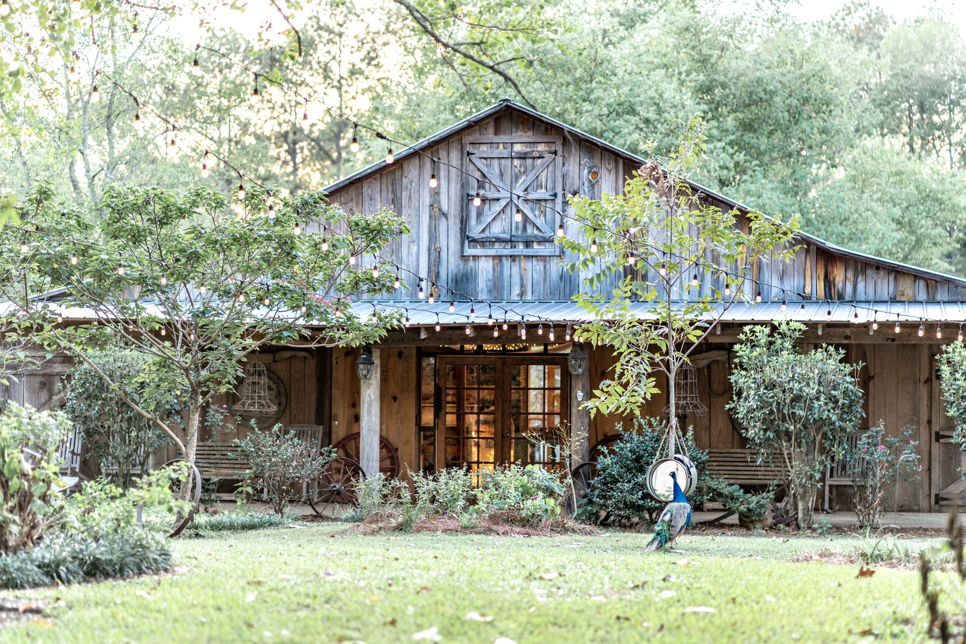 aerial view of the white rose at waterloo farms