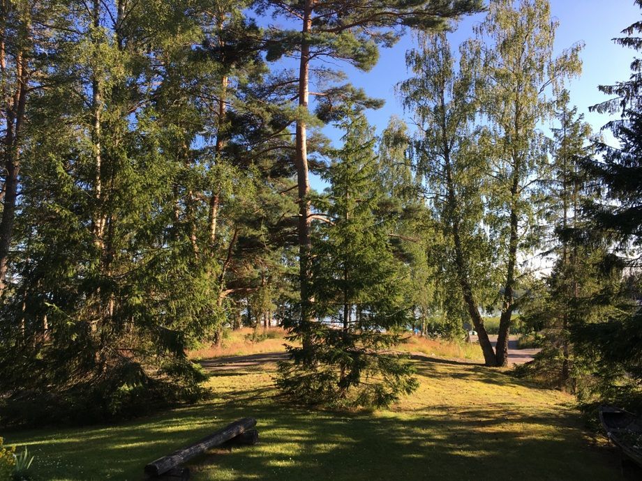 Ausblick ins Grüne und zum See