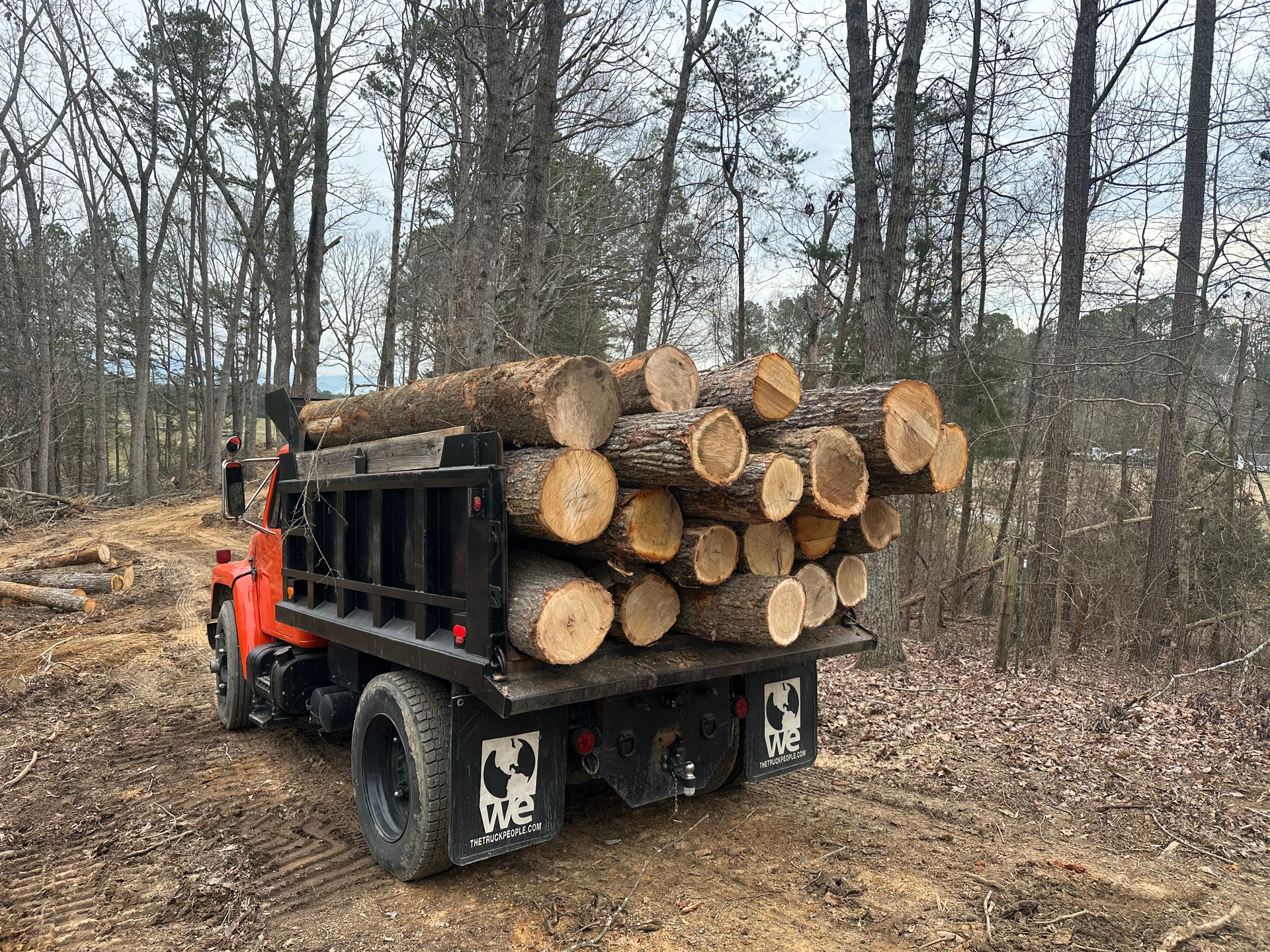 A small truck loaded with cut logs in a wooded area.