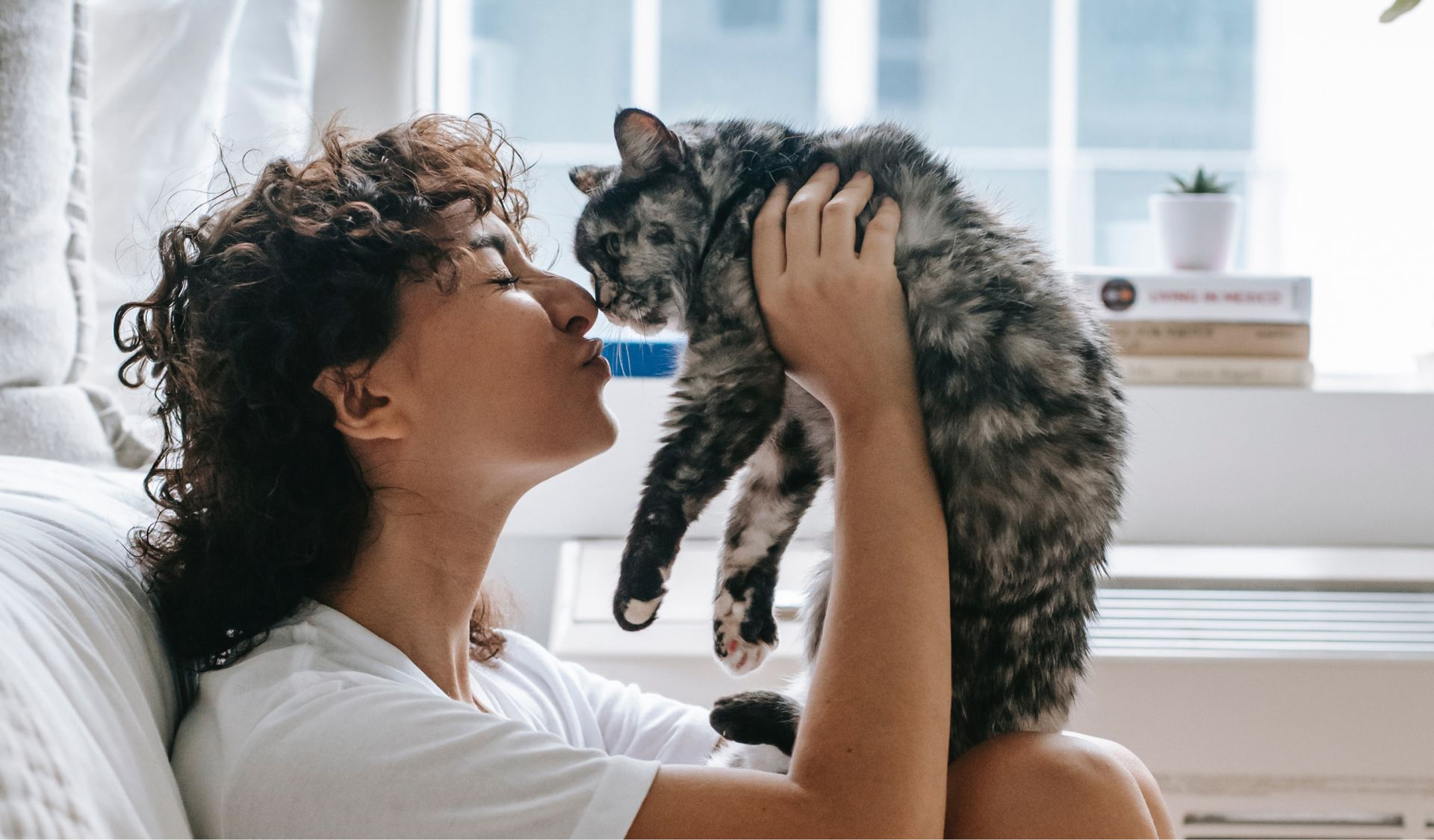 Person holds a fluffy gray cat near a bright window, touching noses with it.