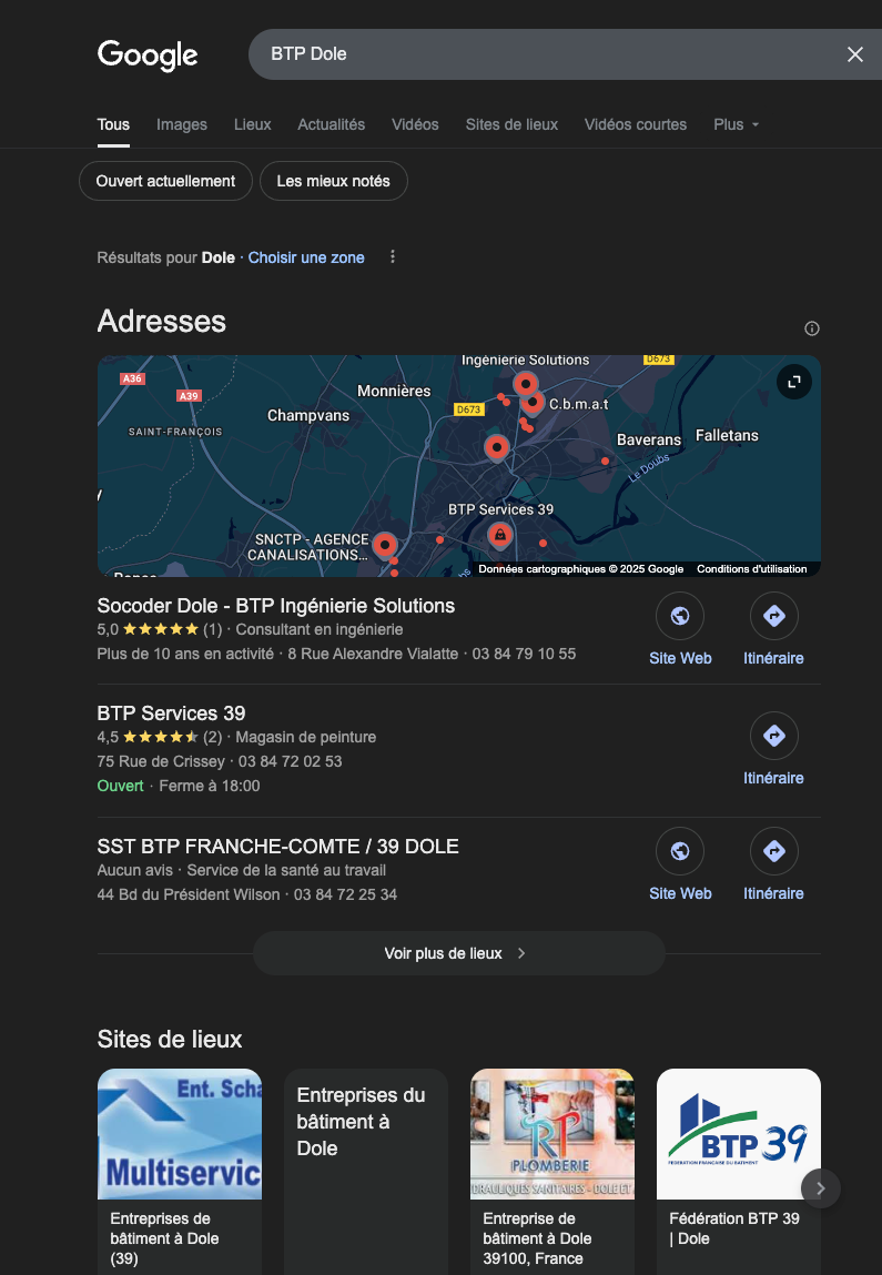 consultant seo dole
