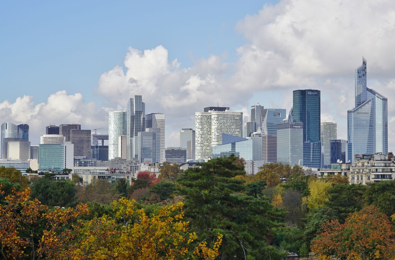 expert seo google colombes