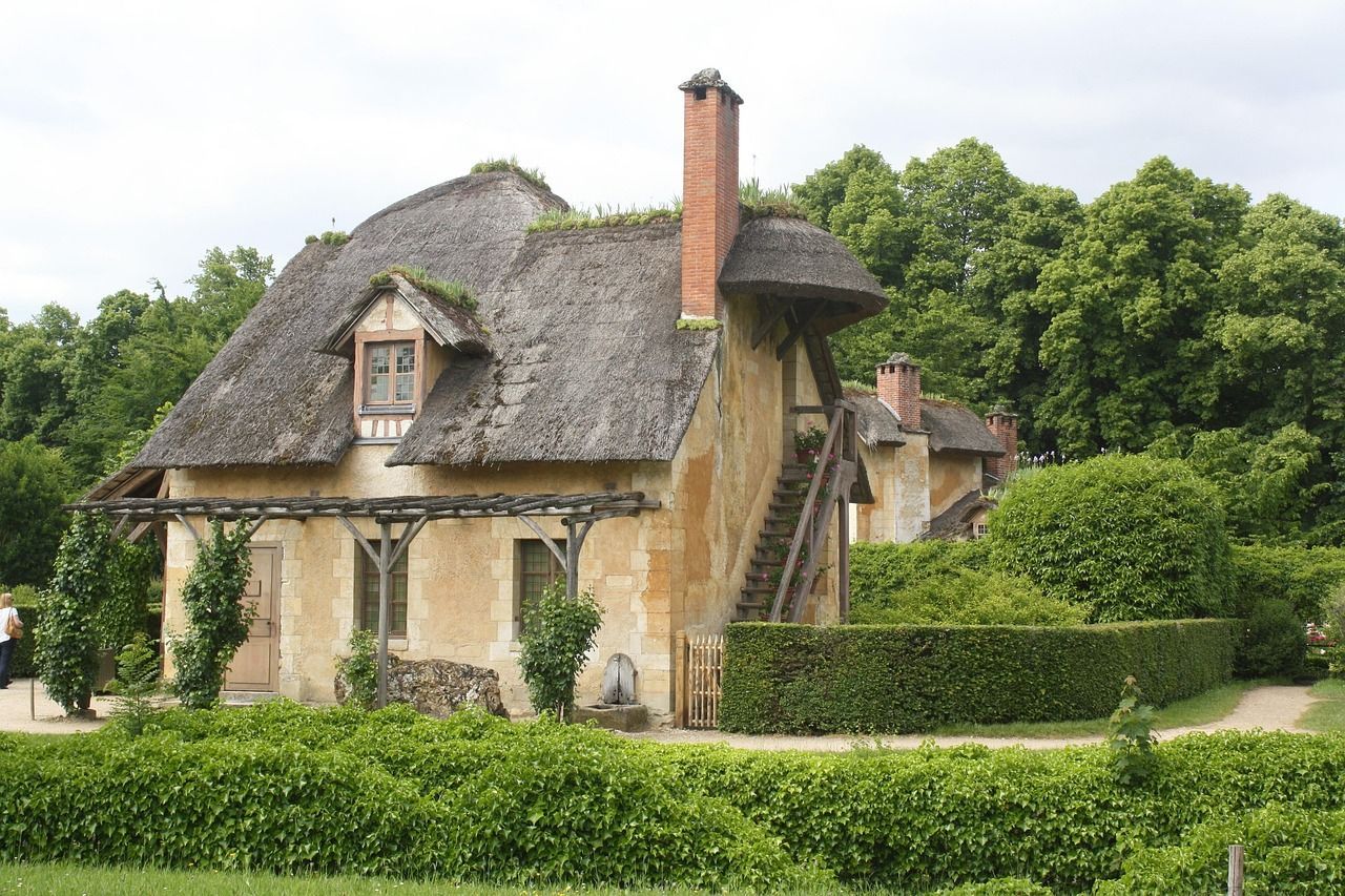 consultant seo versailles